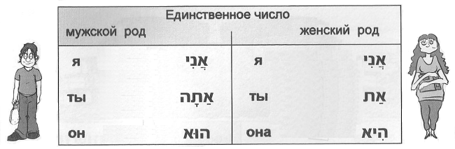 местоимения - единственное число