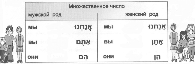 местоимения - множественное число