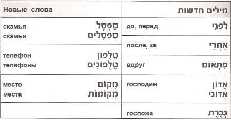 новые слова к уроку новые слова к уроку