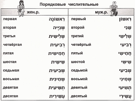 порядковые числительные порядковые числительные