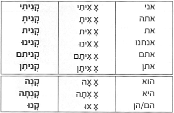 Глагол לקנות в прошедшем времени