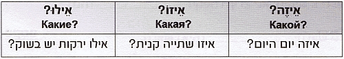Какой, какая, какие