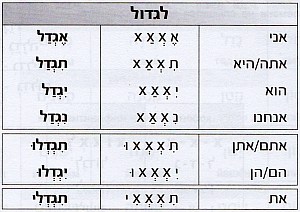 глагол לגדול в будущем времени
