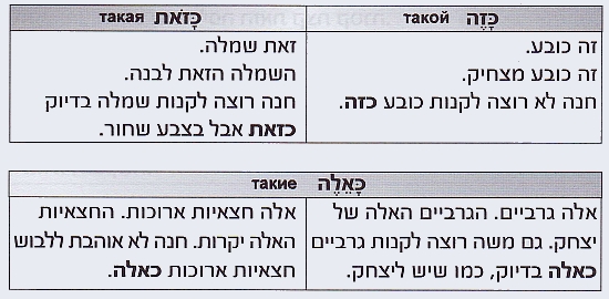 כזה, כזאת ,כאלה
