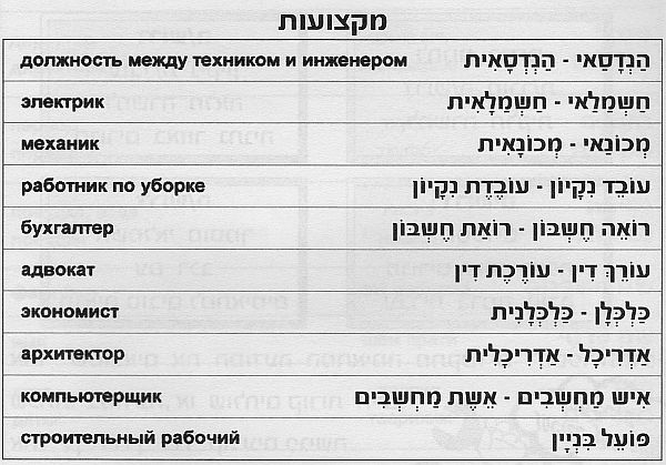 специальности на иврите